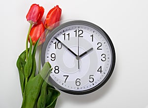 Three natural tulips flowers and clock on white background - time, love and holiday concept