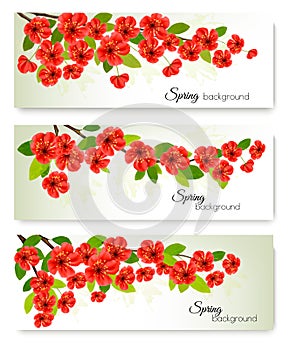 Three nature spring banners with blossom of sakura.