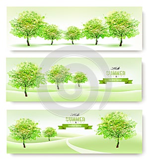 Three nature summer banners.