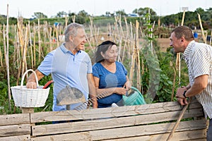 Three neighbours farmers talking together near wooden fence in garden