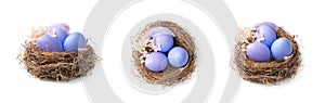 Three nests with purple Easter eggs in different angles.