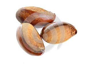 Three nuts Vitellaria paradoxa , commonly known as shea tree or