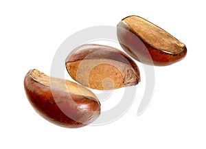 Three nuts Vitellaria paradoxa , commonly known as shea tree or photo