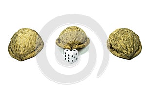 Three nutshells with a dice