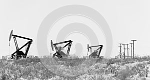 Three oil pump jack photo