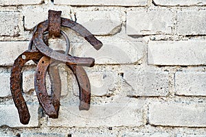 Three old rusty horsheshoe on white brick wall.