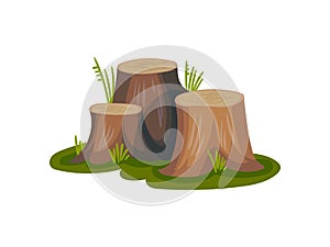 Three old stumps. Vector illustration on white background.