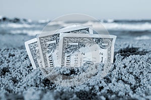 Three one dollar banknotes dug halfway into sand on sea beach on sunny day