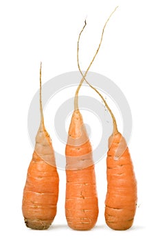 Three orange carrots