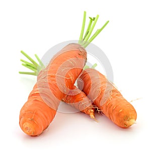Three orange carrots
