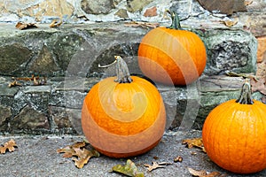 Three orange pumpkins decorating the front steps.