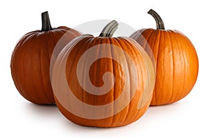 Three orange pumpkins on white