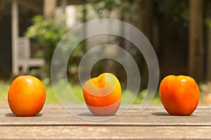 Three Orange Tomato on Wood Ground in Green Garden