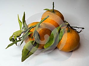 Three Oranges with white Background