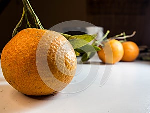 Three Oranges with white Background