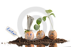 Three organic seedling plants in funny Easter Eggs isolated