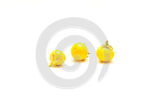 Three over ripen yellow small round eggplant for heirloom seed saving isolated on white background photo