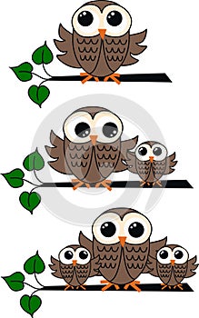 Three owl illustrations