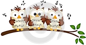 Three Owls Choir Singing photo