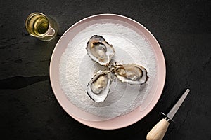 Three oysters on a plate