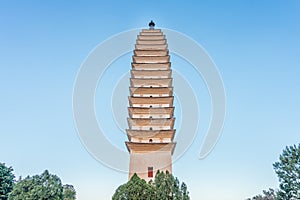 Three Pagodas of Chongsheng Temple in Dali, Yunnan, China