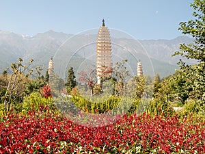 Three pagodas Dali, China