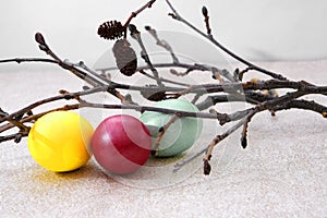 Three painted Easter eggs and branches of natural wood. The concept of the Easter holiday