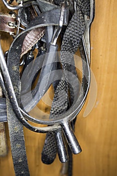 Three pairs of different metal spurs, rubberized with straps for attaching close-up