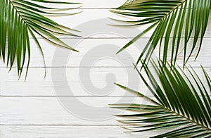 Three palm branches on a white wooden background.