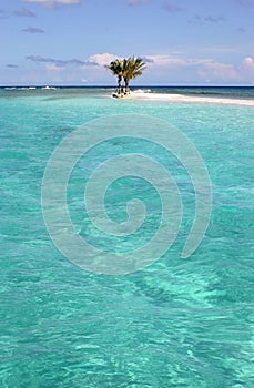 Three Palm Island photo