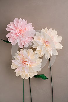 Three paper dahlias