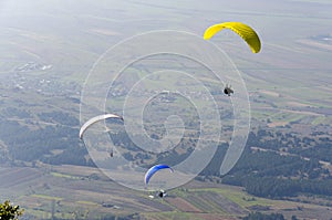 Three paraglider flies paraglider over the valley on a summer day