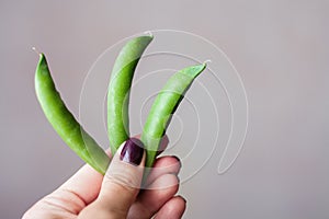 Three pea pods in woman`s hand