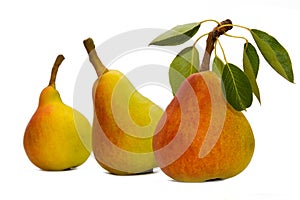 Three pears