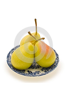 Three Pears in the saucer