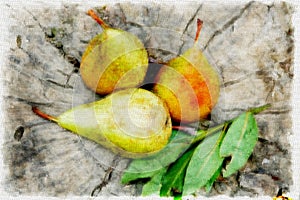 Three pears on a wooden background