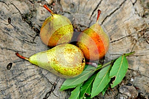 Three pears on a wooden background