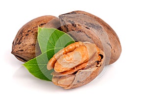 Three pecan with leaves isolated on white background