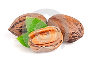 Three pecan with leaves isolated on white background