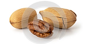 Three pecan not purified and purified nuts on white background.