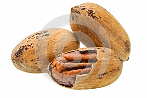 Three pecan nut isolated on a white background