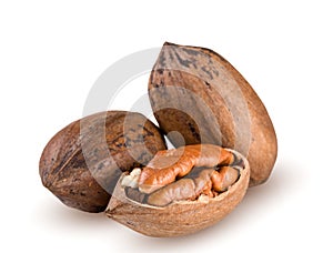 Three pecan nuts isolated on white background