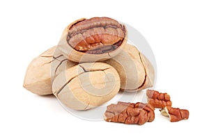 Three pecan nuts isolated on white background