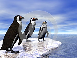 Three Penguins