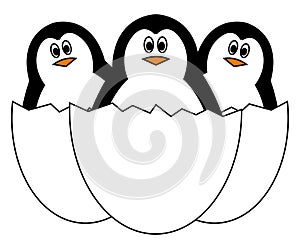 Three penguins in egg shell, illustration, vector