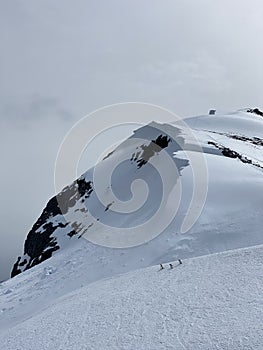 Three penguins on a snowy mountain ridge, Antarctica