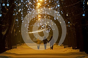 three people in the Christmas park