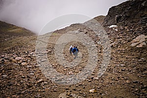 Three people are climbing a mountain on a foggy day on the italian Alps Peio, Trentino - Alto Adige, Italy