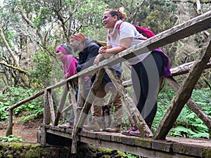 Three people on top of a bridge observe nature.
