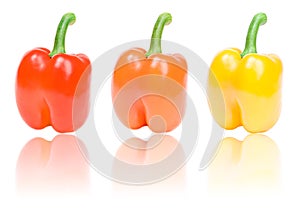 Three peppers with reflection isolated on white